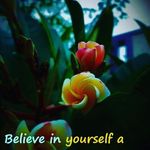 Profile Picture of kevin hassel (@kevin._hassel) on Instagram