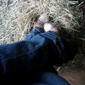 Profile Picture of Crystal Trahan (@crystaltrahan85) on Youtube