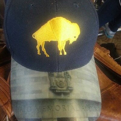 Profile Picture of Paul Krnjaich (@BuffaloAud) on Twitter