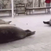 Profile Picture of Michael Aguillard (@michaelaguillard6890) on Youtube