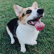 Profile Picture of Fan Zhang (@Fanzhang-uf1hg) on Youtube