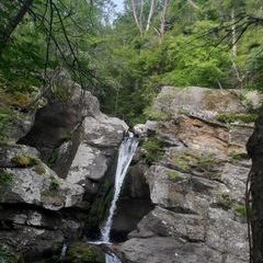 Profile Picture of Paül Sicha (@pal.sicha) on Tiktok