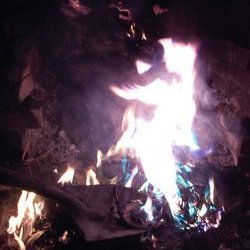 Profile Picture of Wade Robertson (@standalone2dau) on Twitter