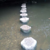 Profile Picture of Daniel Wickham (@danielwickham3439) on Youtube