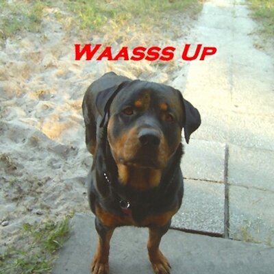 Profile Picture of Paul Maxey (@Mxmm64Paul) on Twitter