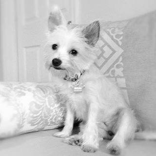 Profile Picture of Melba Toast WigginsBennett (@melba.t.wiggins) on Facebook
