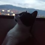 Profile Picture of Jonathan A. (@jonathan._dichter) on Instagram