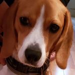 Profile Picture of Robert Keys (@robert.keys.376) on Instagram