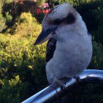 Profile Picture of Brett Weir (@weirbrett) on Instagram