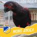 Profile Picture of Simos Karaloucas (@simos.karaloucas) on Facebook