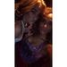 Profile Picture of Lauren Dawson (@dawson5274) on Pinterest