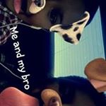 Profile Picture of Brian Roybal (@killshitbri) on Instagram