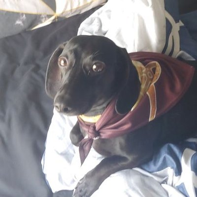 Profile Picture of Cory Terwilliger (@cjtwillie23) on Twitter