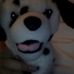 Profile Picture of Julia Kavanagh (@julia.kavanagh.16) on Facebook