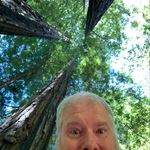 Profile Picture of Toby Bates (@toby.bates) on Instagram