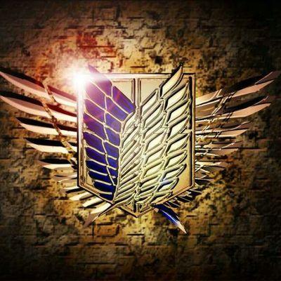 Profile Picture of Modafar Abusalem (@drkmodafar1) on Twitter