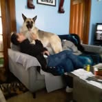 Profile Picture of Joseph Contrucci (@joseph.contrucci.9) on Facebook