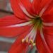 Profile Picture of Leigh Alexander Largent (@largentl) on Pinterest