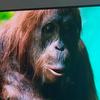 Profile Picture of Nathan Ewart (@@nathanewart) on Tiktok