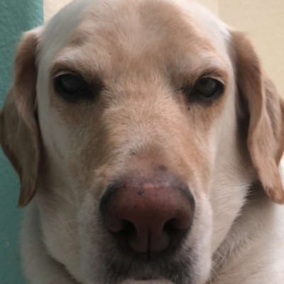 Profile Picture of David Feingold (@dafeingold) on Twitter
