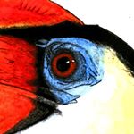 Profile Picture of Jed Taylor (@jctartstudio) on Instagram