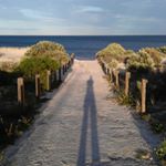 Profile Picture of brad wilson (@bbarrelfish) on Instagram