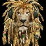 Profile Picture of Sylvia Machin (@machinsylvia) on Instagram