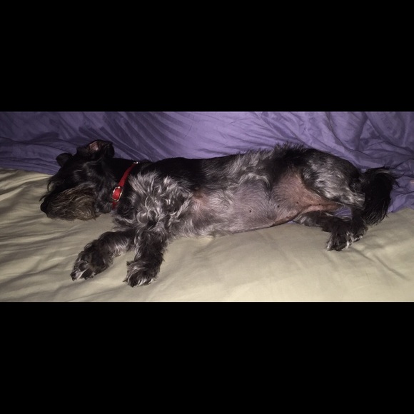 Profile Picture of Doreen Levin (@dlevin) on Poshmark