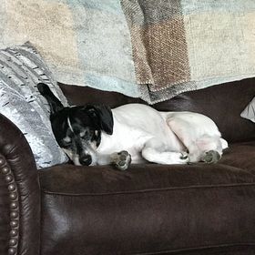 Profile Picture of Kyle (@mcleish9786) on Pinterest