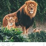 Profile Picture of humera adnan (@humera_adnan7861) on Instagram