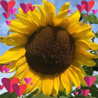 Profile Picture of Ingrid Schröder (@ingrid.schroder.1426) on Facebook