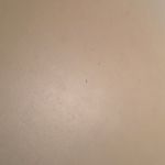 Profile Picture of Ben Keener (@ninaspamsl2) on Instagram