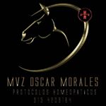 Profile Picture of MVZ OSCAR MORALES 3134209184 (@embrioequinos_mvzoscarmorales) on Instagram