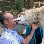 Profile Picture of Peter Brockwell (@brockwellpeter) on Instagram