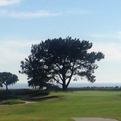 Profile Picture of Ryan Bashor (@zotgolf) on Twitter