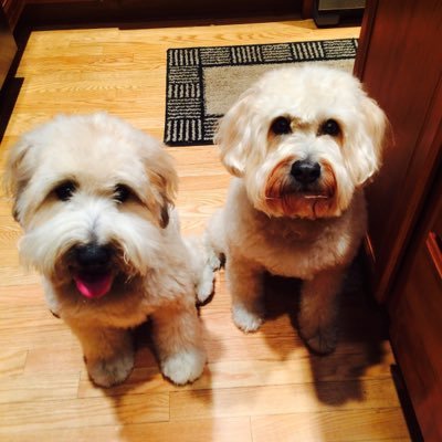 Profile Picture of Matt Hartmann (@thematthartmann) on Twitter