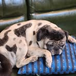 Profile Picture of Blacke Jack (@Blacke-Jack) on Facebook