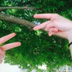 Profile Picture of Cayla And Bailey🎀 (@travel_friends) on Instagram