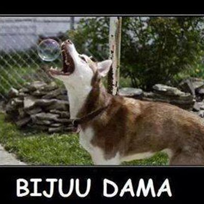 Profile Picture of Oliver Vidal (@oliver_bone70) on Twitter