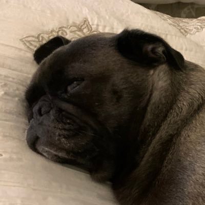 Matthew Harriman - Twitter Profile Picture of Matthew Harriman (@matt_harriman) on Twitter