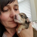 Profile Picture of Stephanie Major (@smajor123) on Instagram