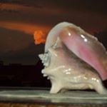 Profile Picture of Jim Michelle Abner (@michelleabner) on Instagram