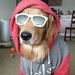Profile Picture of Brett Packer (@bpacker2687) on Pinterest