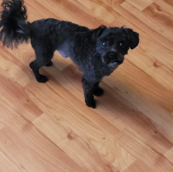 Profile Picture of Bob Collister (@spider08ca1) on Poshmark