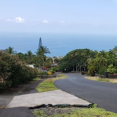 Profile Picture of John Sato (@JohnSato808) on Twitter