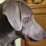 Profile Picture of Aaron Grady (@aarongrady_) on Instagram