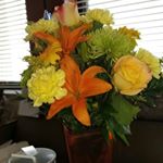 Profile Picture of Maxine Cross (@maxine.cross.16) on Instagram