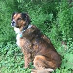 Profile Picture of Kim Lerch (@kimlerch) on Instagram