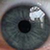 Profile Picture of Fabian Sandoval (@sandoval.gomez) on Flickr