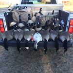 Profile Picture of Robert Hite (@hite_29) on Instagram